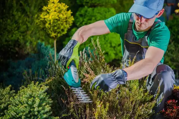 landscaping services Breckinridge Center